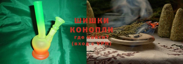 мдпв Богородск