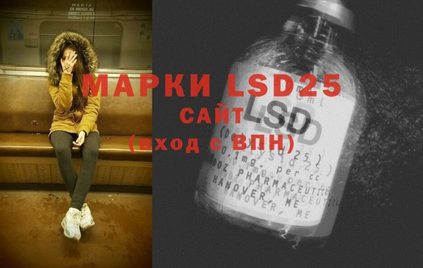 дмт Магас
