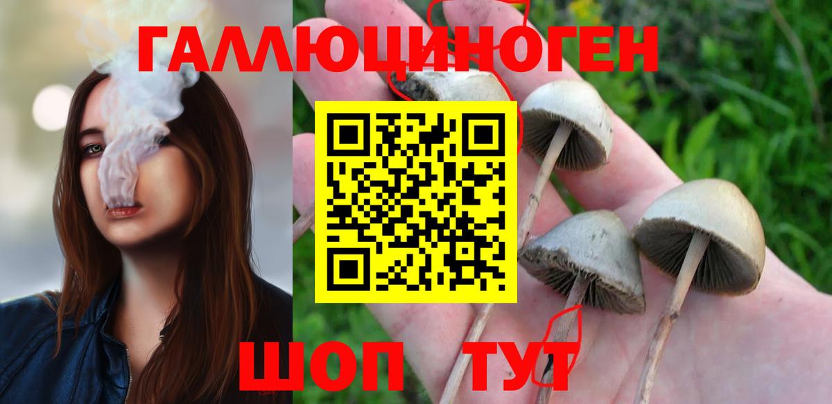 Фурманов  Галлюциногенные грибы MAGIC MUSHROOMS  Вход с VPN  Псилоцибиновые грибы прущие грибы 